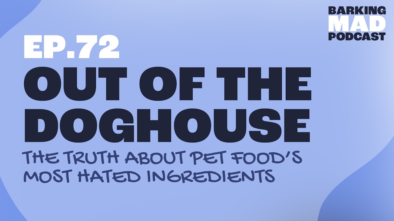 Out of the Doghouse: The Truth About Pet Food’s Most-Hated Ingredients