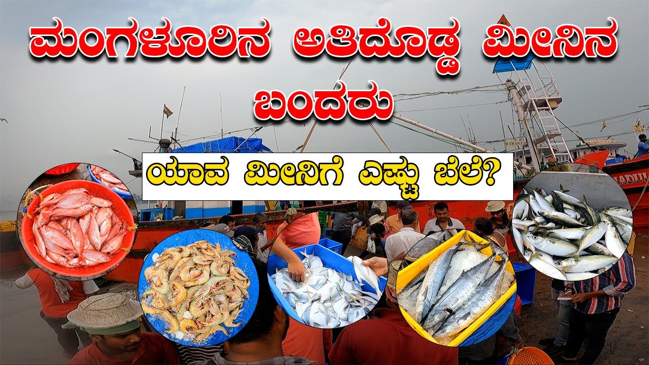 🐠 Exploring Mangalore’s Famous Fish Market | Seafood Paradise | Dakke | @DURGAKAKYAPADAVU