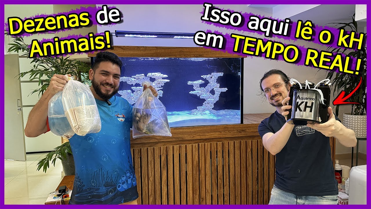 Coloquei Dezenas de Animais e Automatizei o KH do Aquário de um Cliente de PROJETO!