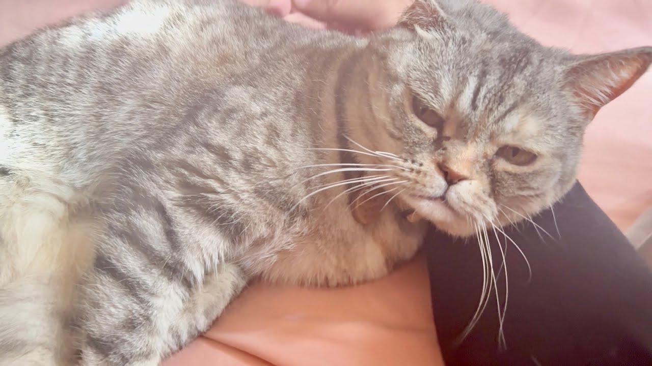 こう見えてポッポちゃんは...