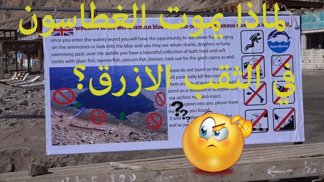 الغوص في أخطر مكان في العالم مقبرة الغواصين|مصر|دهب|الثقب الازرق|