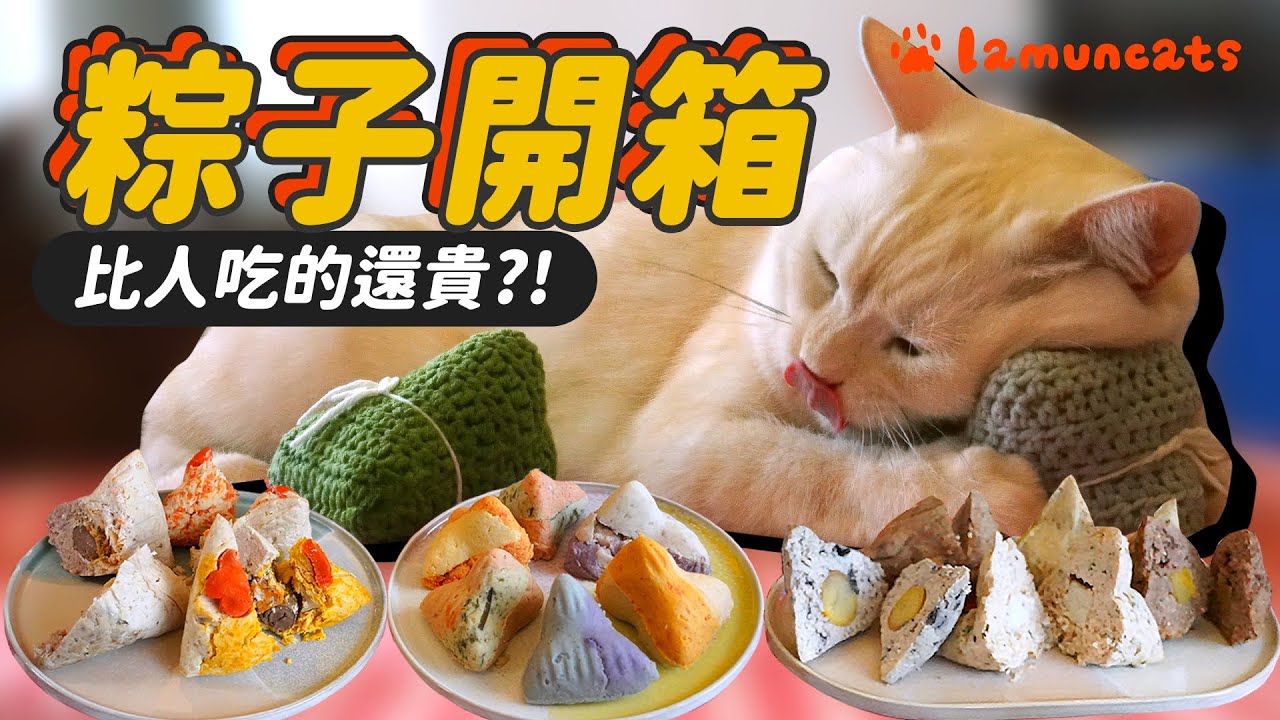 貓狗吃的粽子究竟包什麼料？和貓咪一起過端午┃拉姆有幾噗 ☁
