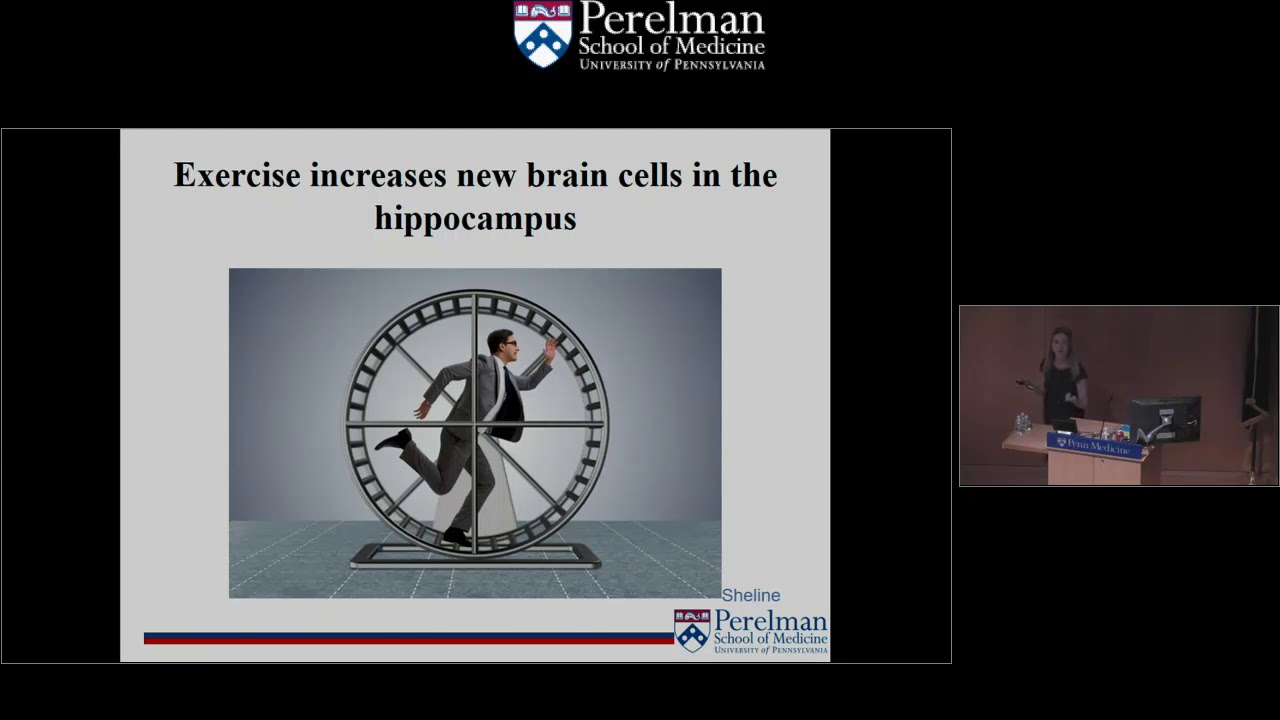 Brain Damage from Depression: What, Why, and How To Prevent: Dr. Yvette Sheline