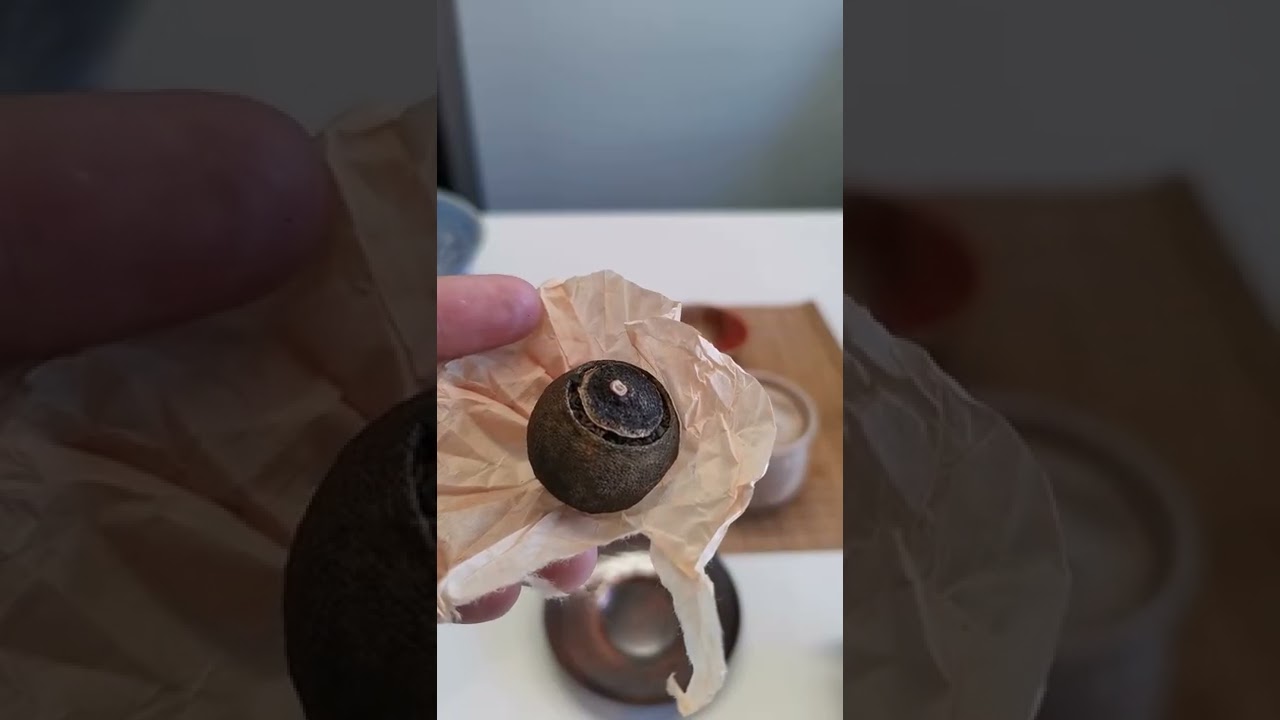 How to steep Tangerine Puer Tea