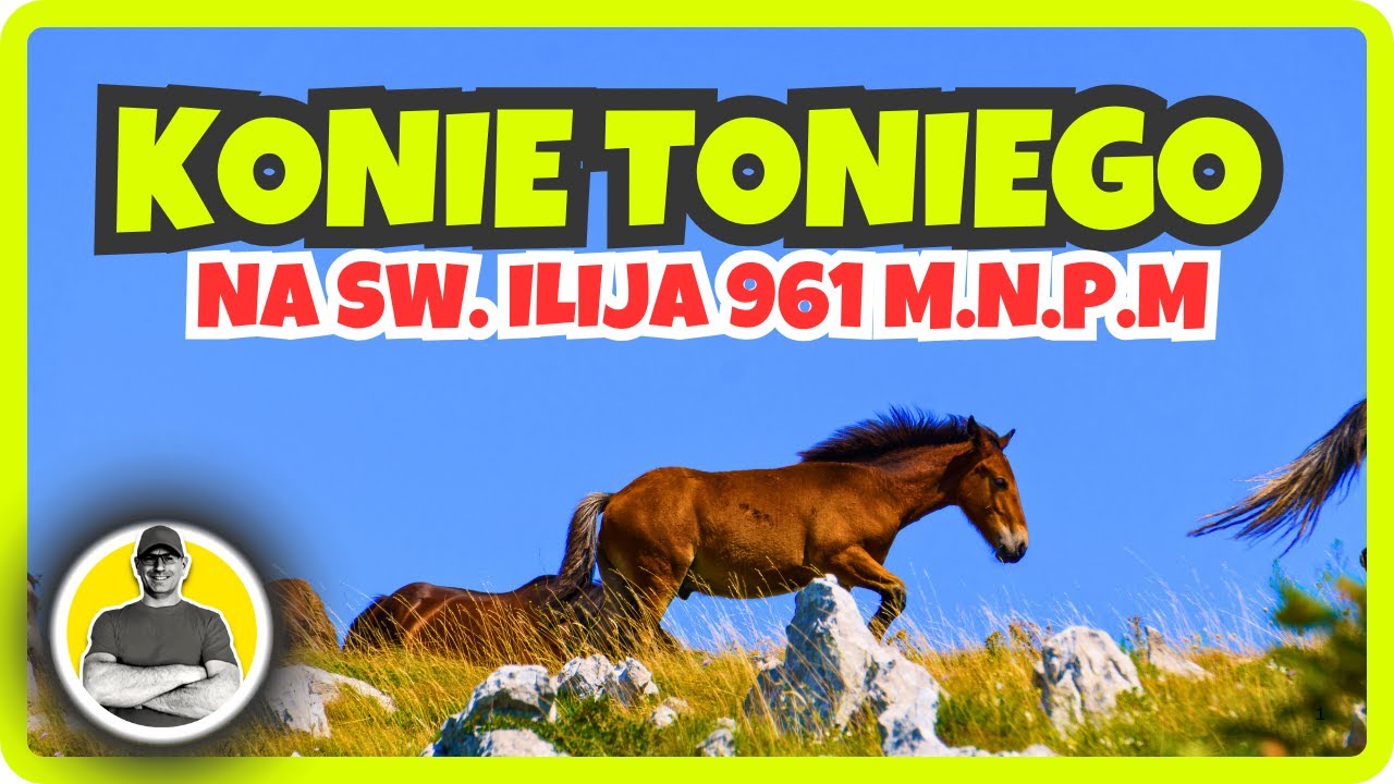 Sprowadzamy konie ze sw.Ilija 961 mnpm. Warto bylo. Chorwacja .#4livetechtv #wakacje #chorwacja