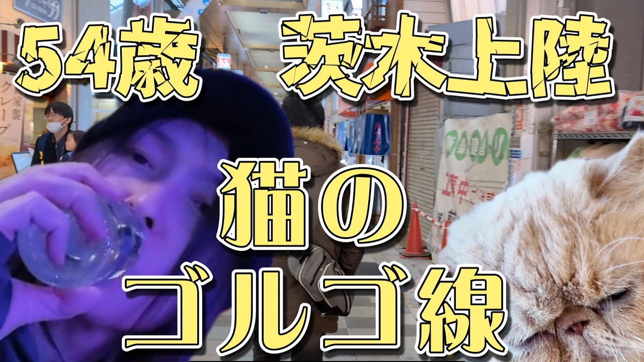 【54歳】猫にゴルゴ線【17万人都市茨木市初潜入】