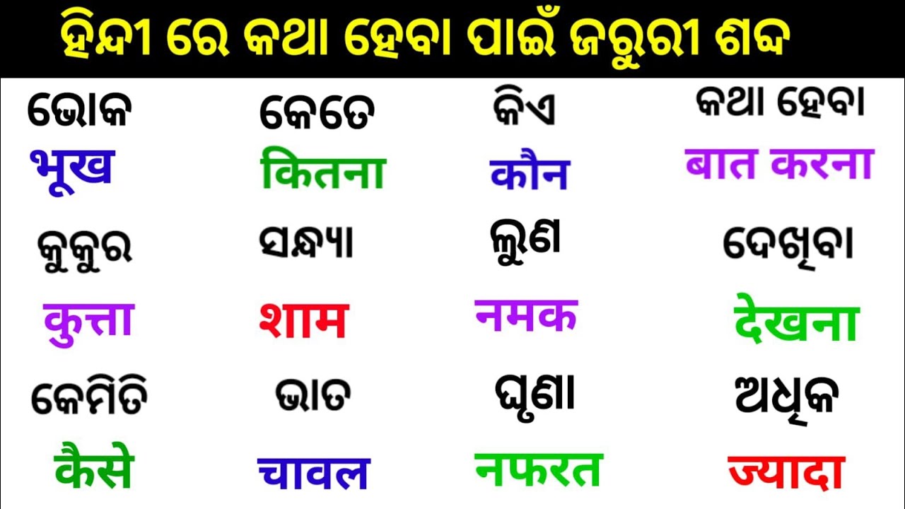 Odia Hindi translation l Word Meaning practice l daily use hindi odia sikhya l how to speak hindi