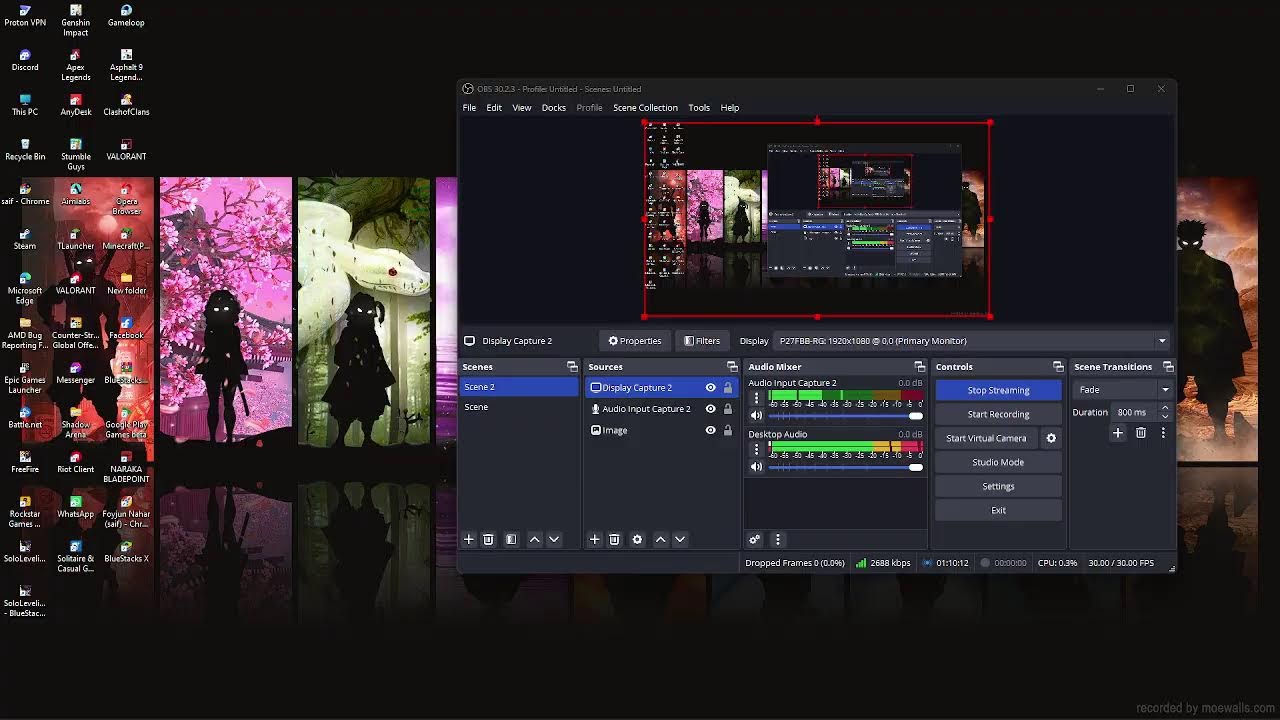 NightPlay Live Stream