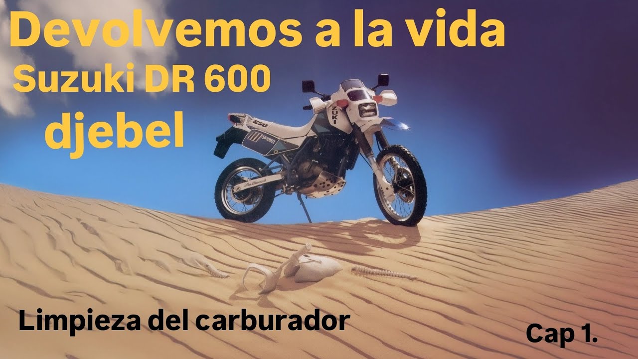 Devolvemos a la vida Suzuki DR 600