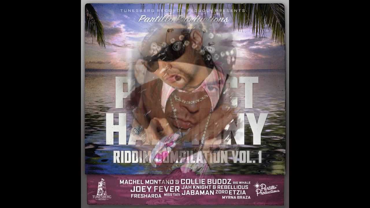 PERFECT HARMONY MEGA REMIX  PART1  MAY 2011 Buju Beenie Vybz Kartel Sizzla Mr Vegas & MANY MORE