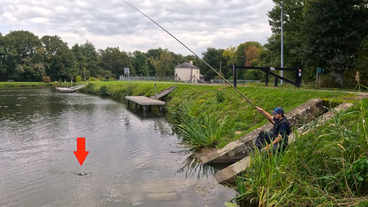 Pêche en canal : du gardon au brochet !