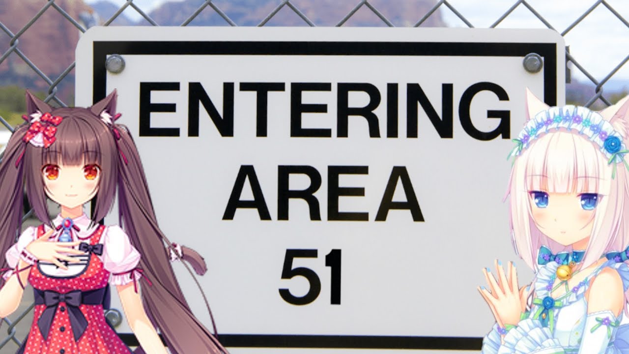 Let's storm Area 51...for cat girls.