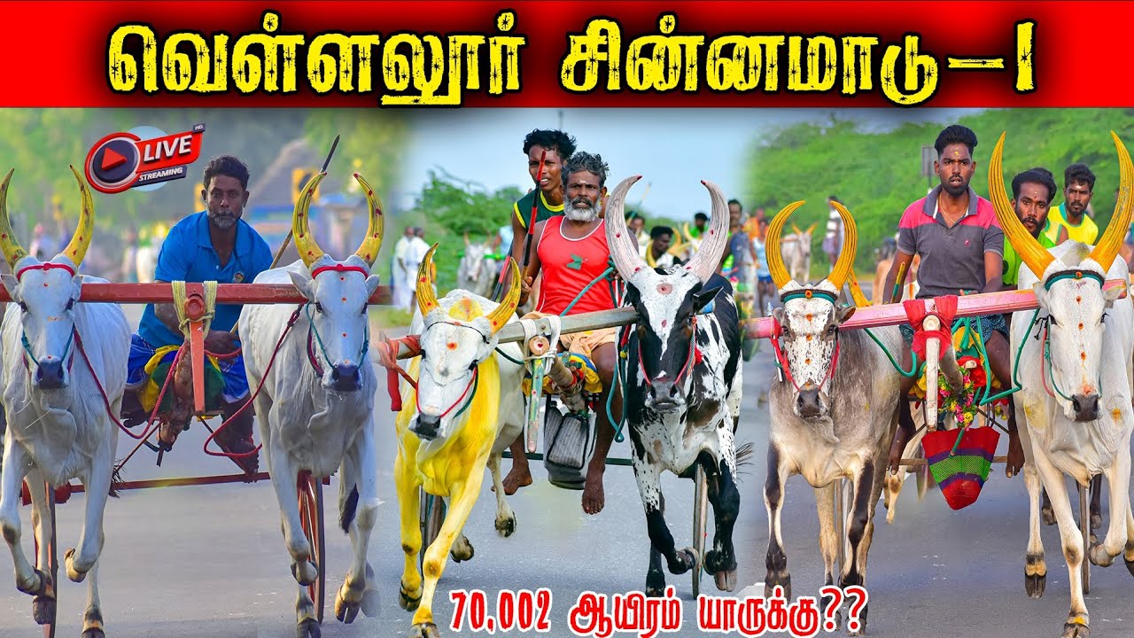 ⭕LIVE|70,008 ஆயிரம் ரூபாய் சின்னமாடு-1 வெள்ளலூர் கோப்பை யாருக்கு??|Madurai நேரலை