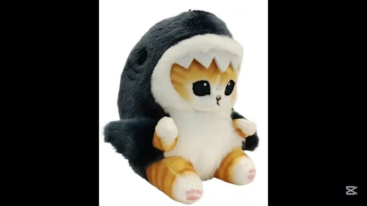 Canción que suena cuando encuentras a un gato tiburón