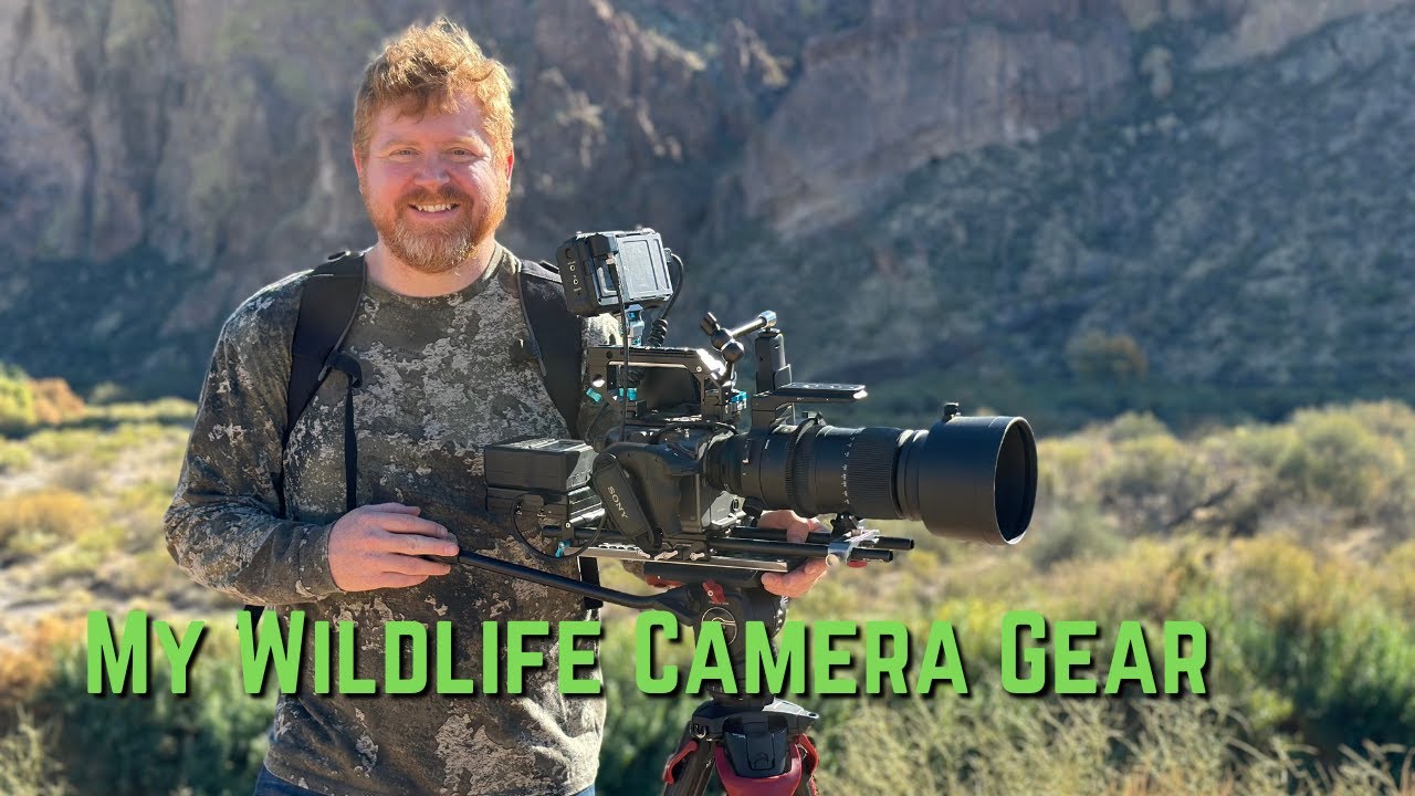 I Built the Ultimate Wildlife Filmmaking Camera Setup
