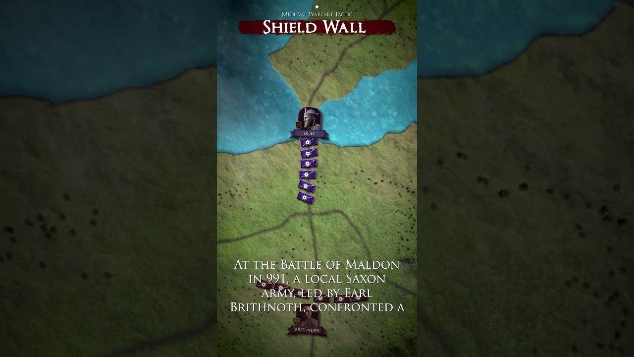 Shield Wall Tactic #shorts #fypシ #fyp #documentary #military #tactical #history #war #medieval