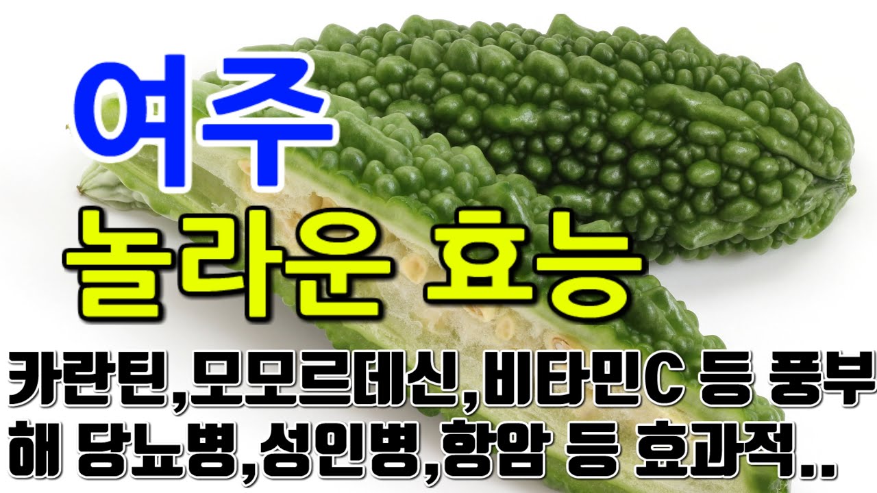[여주 효능] 