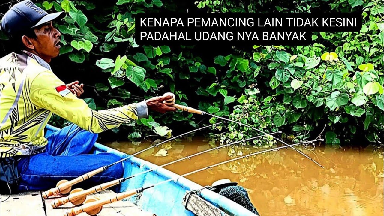 KOK BISA‼️Parit sekecil ini,banyak udang nya || Mancing udang galah