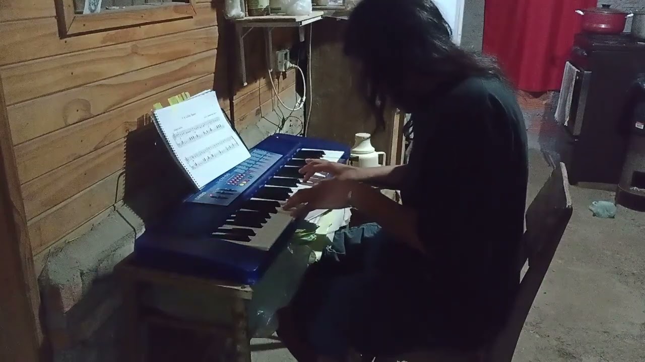 Mi gato inquieto no lloraba 