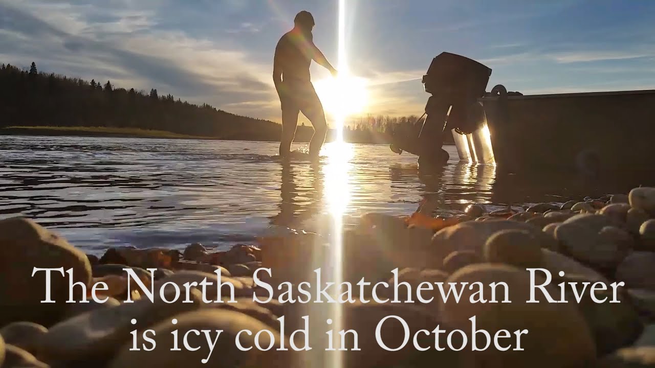 2017: Mapping Out a pay-streak gold prospecting.  Crazy Visit from Some Moose!