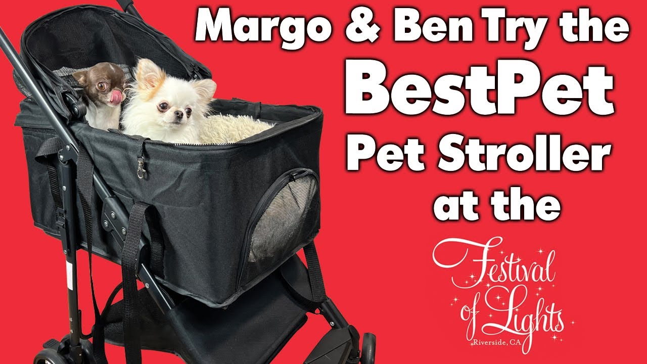 Pet Stroller for Margo the Tiniest Chihuahua!