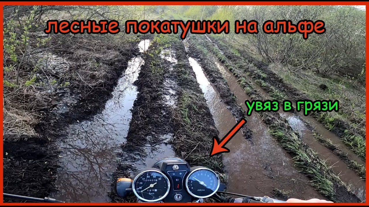 Катаю на альфе по лесному бездорожью