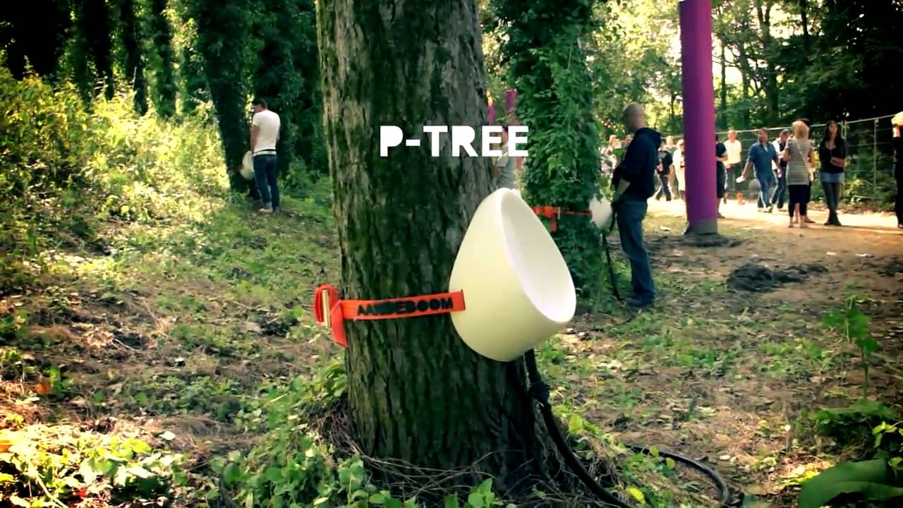 P-Tree