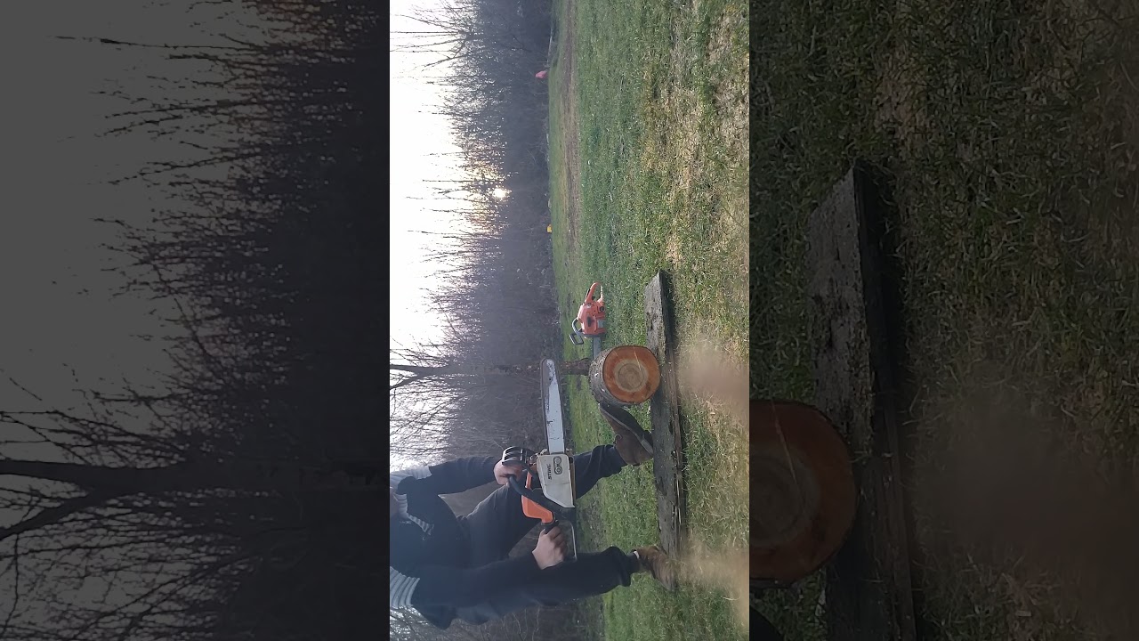 Stihl MS 170 VS Husqvarna 246