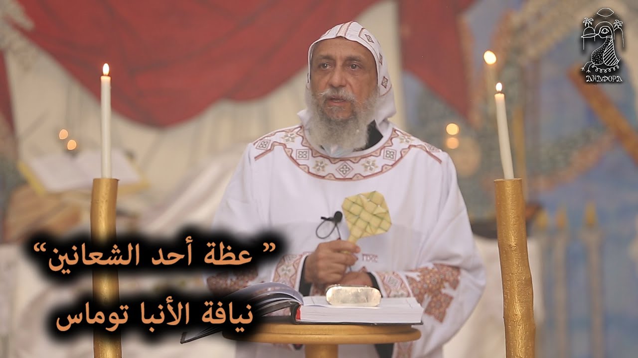 عظة أحد الشعانين ... نيافة الأنبا توماس