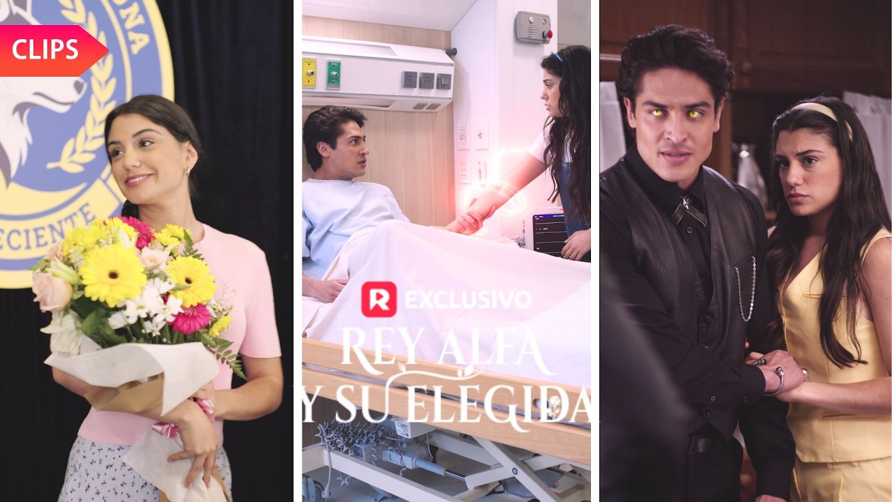 💗Maldito a morir joven, Gael encuentra a su compañera destinada. El problema: es humana | Reelshort