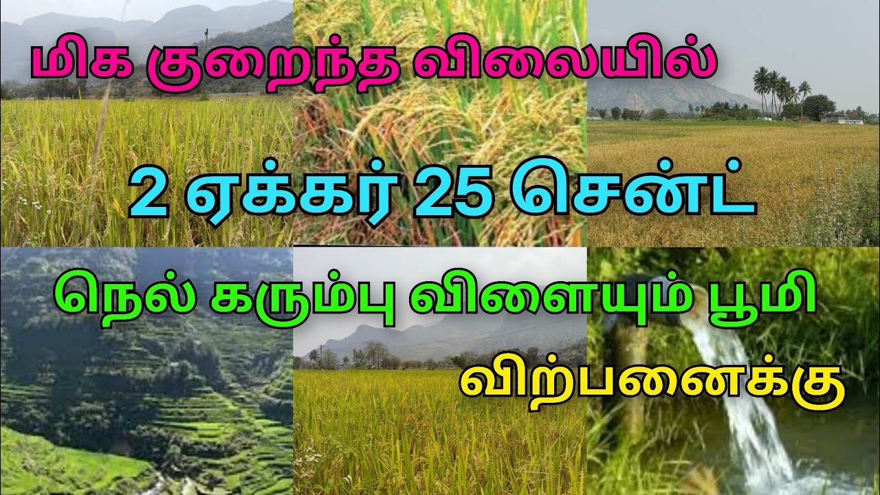 9600525601 நெல் கரும்பு விளையும் பூமி மிக குறைந்த விலையில் விற்பனைக்கு உள்ளது