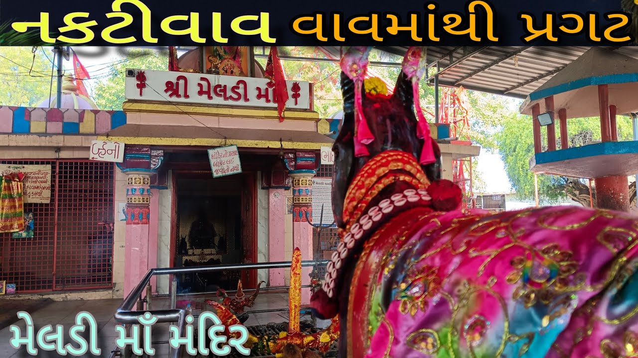 નકટીવાવ માંથી પ્રગટ થયેલ નક્ટીવાવના માઁ મેલડી માતાજી મંદિર / સુરેન્દ્રનગર 