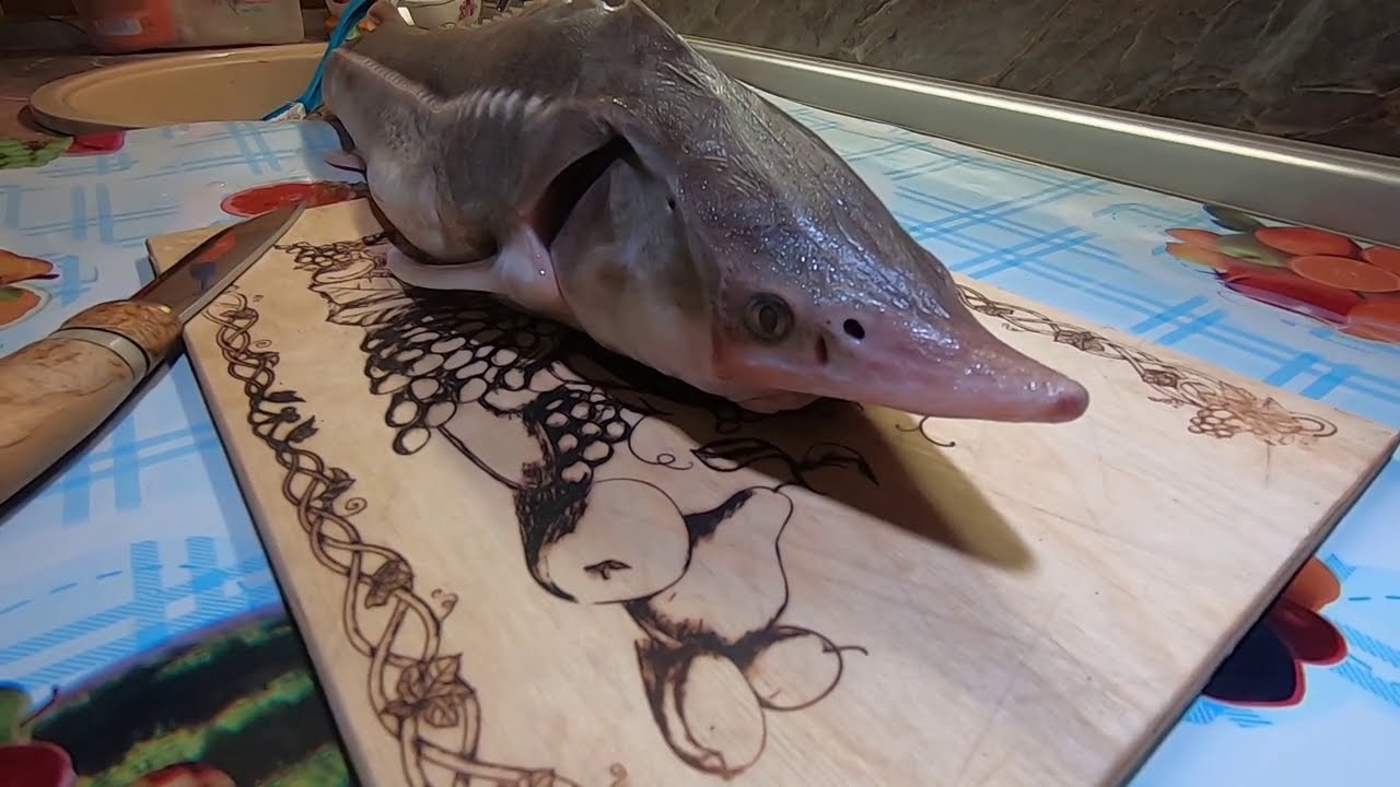 Балык из стерляди, Холодное копчение