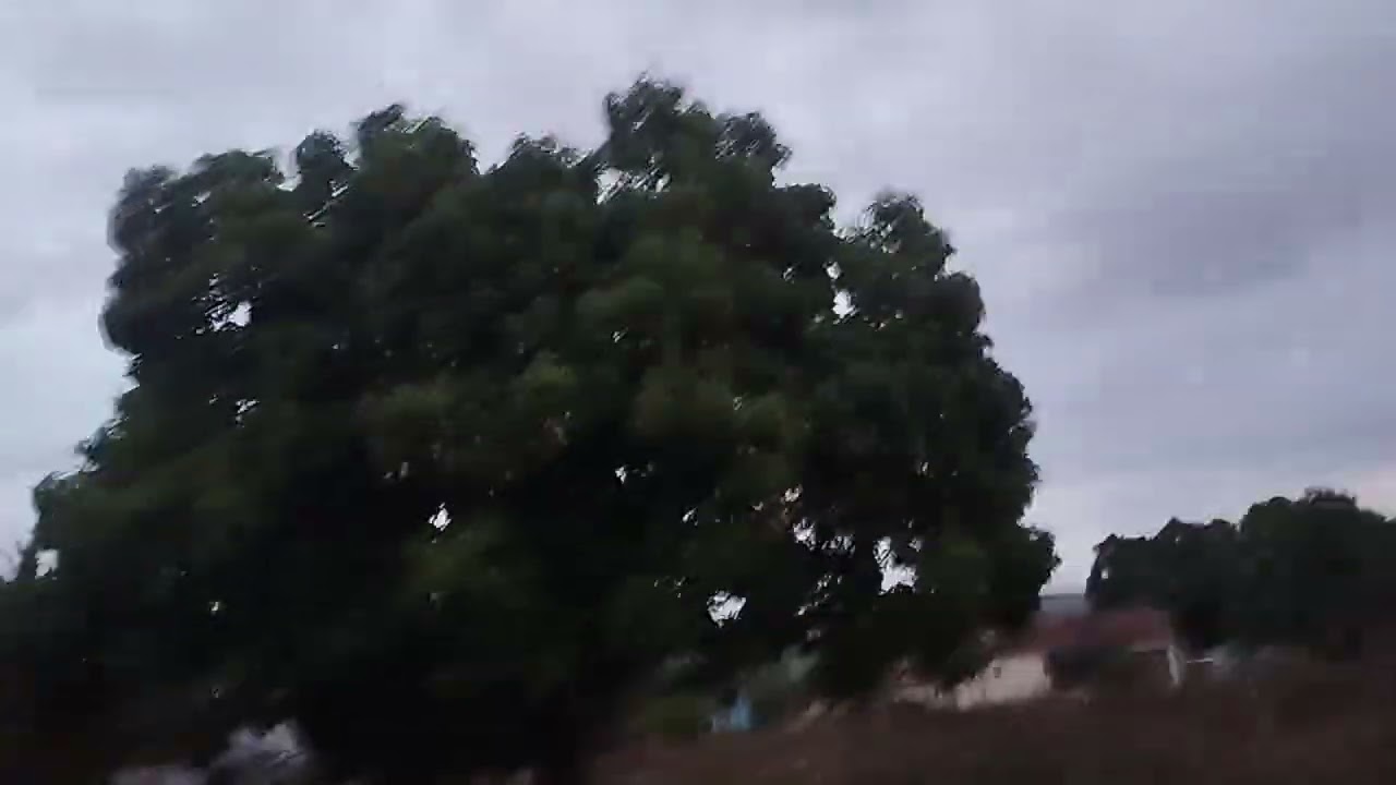 Mução alagoano oficial de Alagoas ao pô do sol
