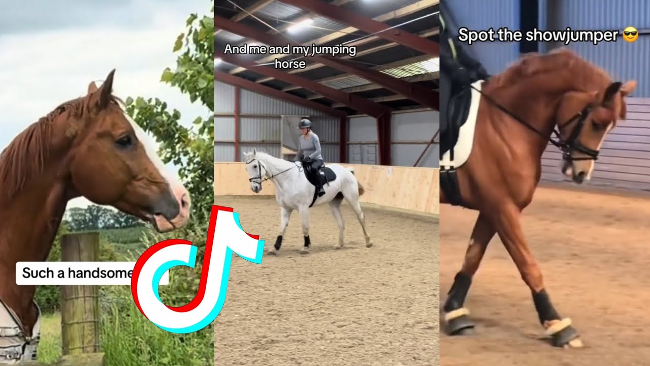 The Best HORSE 🐎 TikTok Compilation #110