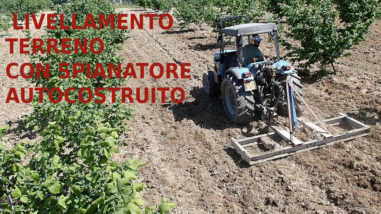 spianamento terreno nocciole con livellatore auto costruito  e landini rex 100F