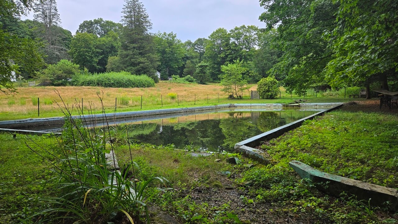 Clearing Brush Around Our Natural Pool