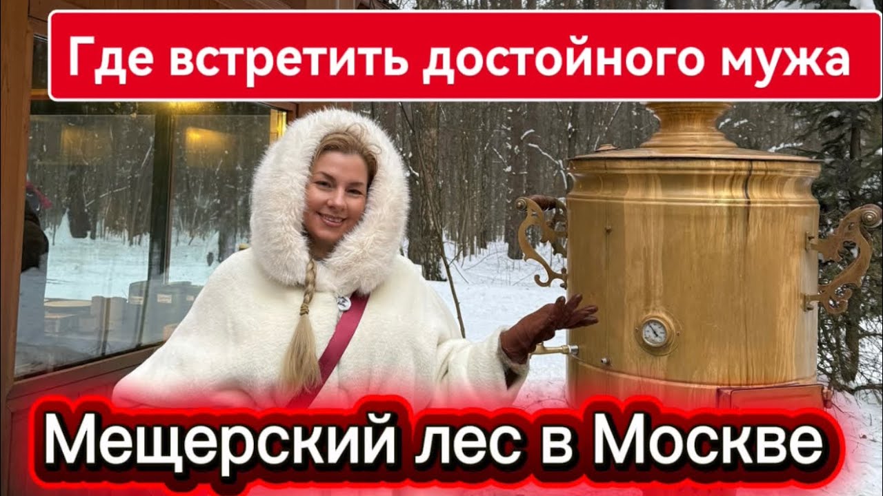 Мещерский лес в Москве / Где встретить мужа / Лесная чайная обзор #москва #мещерский #чайная #муж 
