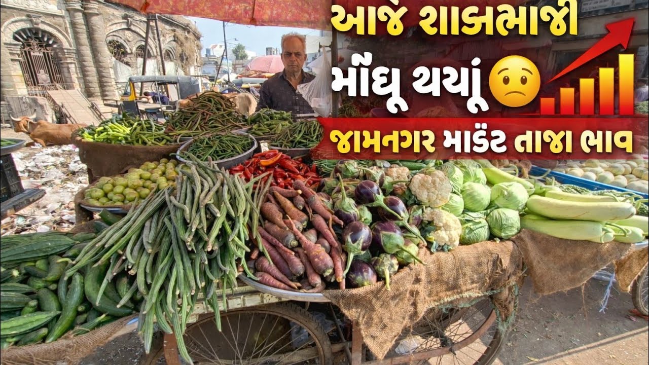 આજે શાકભાજી મોંઘું થયું 😟 | જામનગર માર્કેટ તાજા ભાવ