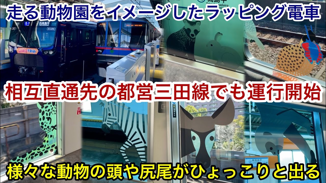 【車両側面側の窓で至る箇所に様々な動物が登場！】相鉄21000系21101F『SOTETSU WORLD TRIP どうぶつトレイン』が相互直通先の都営三田線でも運行開始 🎉