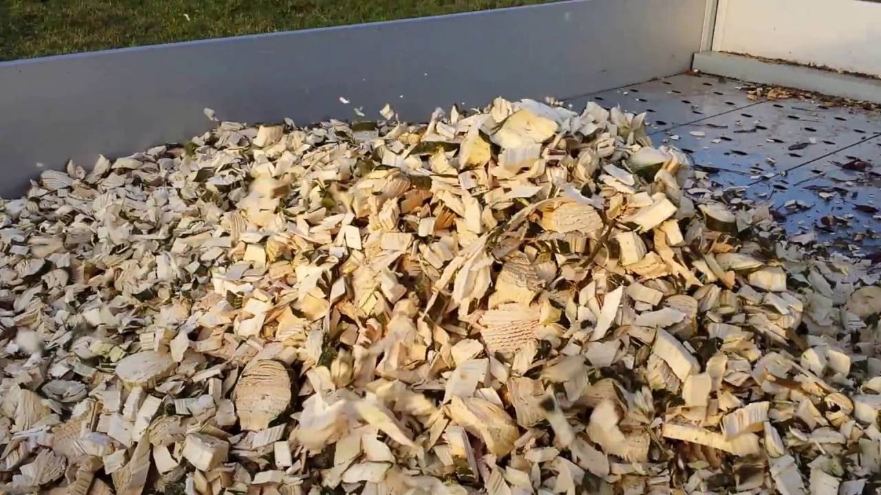 Effiter, Schneckenhacker verarbeitet Eschen-Reisig
