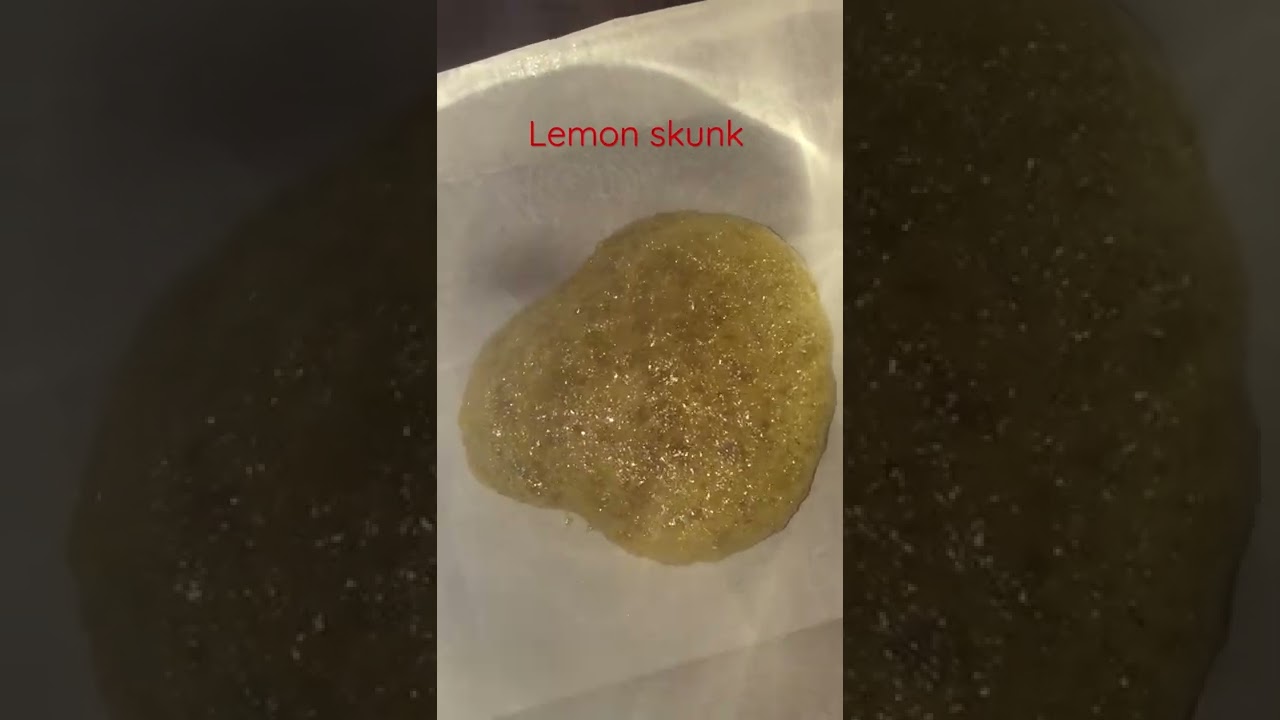 Lemon skunk trim blast