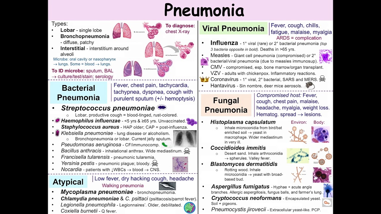 Pneumonia Review