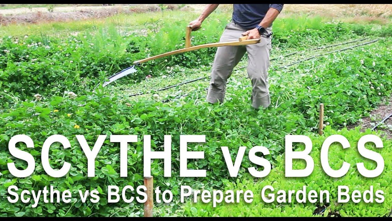 Using a Scythe vs BCS to Prepare Garden Beds