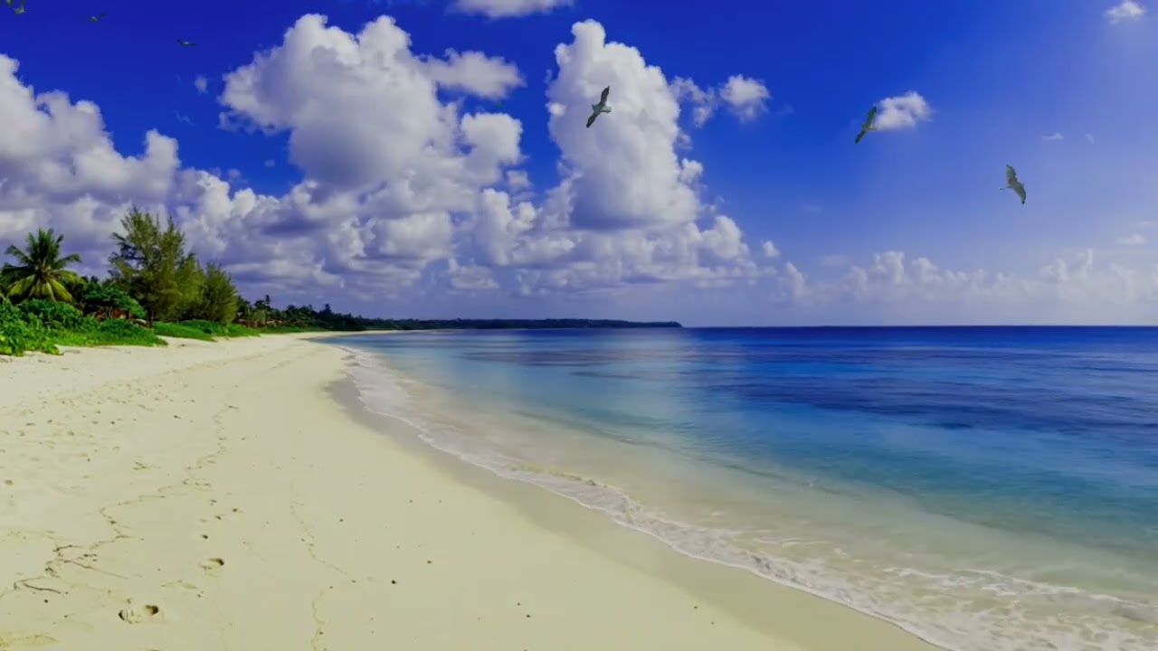 Calming Ocean Sounds (3H) | Best Deep Sleep & Relaxation | Stereo Surround- Relaxation