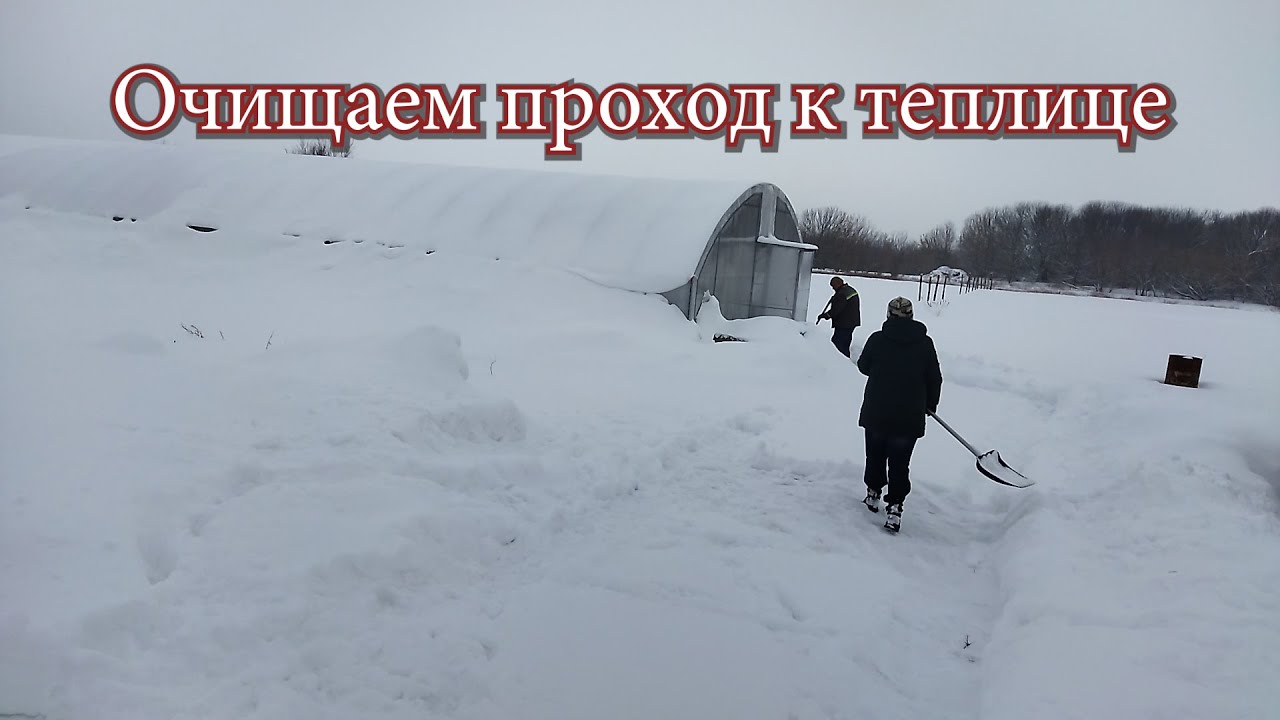 Снег на теплице в пригороде Воронежа