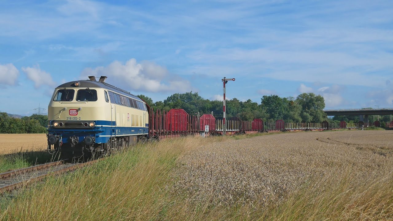 Holzverladung in Grohnde mit 218 003