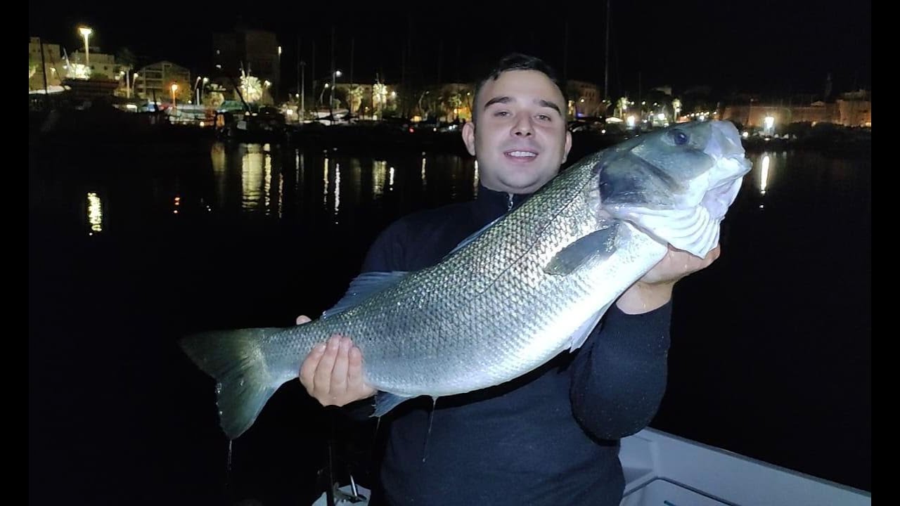 PESCARE LE SPIGOLE BIG CON IL VIVO CON SUCCESSO