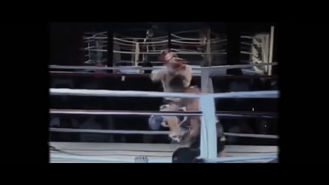Najmeddin scorpion vs Ivan Wycliff. HFC November 6th 2020