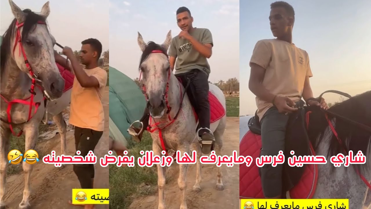 حسين شاري فرس ومايعرف لها وزعلان ويبي يفرض شخصيته عليها 🤣🤣🤣 #ابتاه